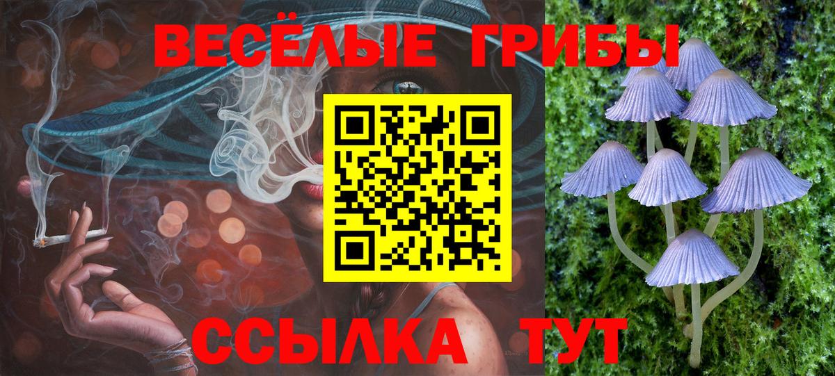 Галлюциногенные грибы мухоморы  Вход с VPN  Гусь-Хрустальный 